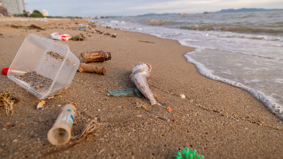 Casi el 80% de los residuos en playas bonaerenses son plásticos.