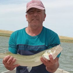 Buen arranque de la temporada de pejerrey con muchas novedades de pesqueros que vuelven al ruedo. Junín y las Encadenadas de la Ruta 2 se suman a la ruta 2. Las lagunas están en ascenso y sorprenden ámbitos que estaban en el olvido.