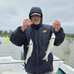 Buen arranque de la temporada de pejerrey con muchas novedades de pesqueros que vuelven al ruedo. Junín y las Encadenadas de la Ruta 2 se suman a la ruta 2. Las lagunas están en ascenso y sorprenden ámbitos que estaban en el olvido.