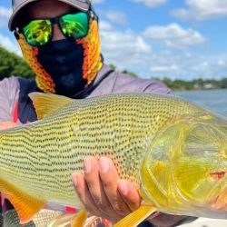 La geografía del lugar marca una clara diferencia con otros pesqueros del sistema del Paraná. Barrancas de piedra, vegetación baja y frondosa y un entramado de correderas forman un escenario ideal para el desarrollo del gran protagonista del río: el dorado.