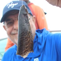 La geografía del lugar marca una clara diferencia con otros pesqueros del sistema del Paraná. Barrancas de piedra, vegetación baja y frondosa y un entramado de correderas forman un escenario ideal para el desarrollo del gran protagonista del río: el dorado.