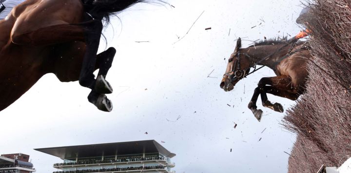 Corredores y jinetes saltan una valla durante la carrera de caballos Mares' Chase, celebrada el cuarto día del Festival de Cheltenham en el hipódromo de Cheltenham, en el oeste de Inglaterra. La carrera fue ganada por Dinoblue, montado por el jinete Mark Walsh.