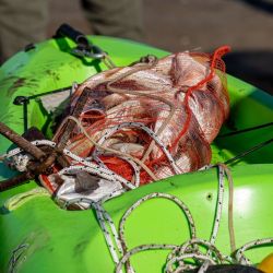 Para esta edición, la organización dispuso un pozo total de más de 12 millones de pesos en premios, que incluirá kayaks, artículos de pesca y distintos reconocimientos para quienes logren los mejores resultados durante el torneo.