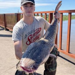 El ejemplar fue capturado utilizando cascarudo como carnada, un recurso muy utilizado por pescadores del litoral cuando buscan especies de gran porte.