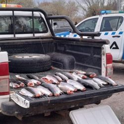 En zonas turísticas y ambientales sensibles como el entorno del Nahuel Huapi, los controles buscan preservar los recursos naturales que también sostienen una importante actividad recreativa y económica vinculada a la pesca deportiva.