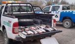 Desbaratan banda de furtivos con truchas y carne de ciervo en la Patagonia