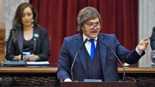 150326_villarruel_milei_senado_g