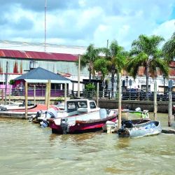 A la caza del lomo plateado en revista Weekend de abril.