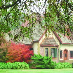 A la caza del lomo plateado en revista Weekend de abril.