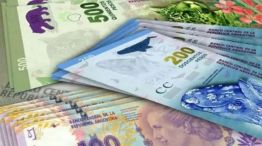 Actividad económica