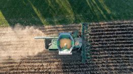 Impuesto Inmobiliario Rural de ARBA 16032026