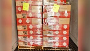 Robaron nueces por un valor de 50.000 dólares.