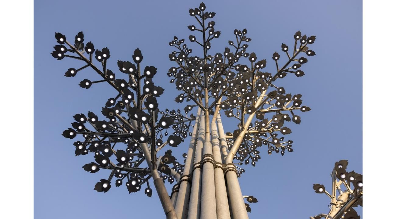 Arquitectura en armonía con la naturaleza 