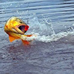 La decisión responde a la falta de actualización en los valores de los permisos, lo que obligó al organismo provincial a aplicar una prórroga extraordinaria para evitar que los usuarios queden sin habilitación mientras se revisan los montos correspondientes.