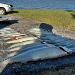La Barrancosa dio buenos pejerreyes, aunque Los Chilenos no se quedó atrás.
