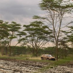 Imagen del conductor polaco, Daniel Chwist, con su copiloto, Kamil Heller, compitiendo en el tercer día del Rally Safari de Kenia 2026 del Campeonato Mundial de Rally, en las costas del lago Elementaita, en Naivasha, en el condado de Nakuru, Kenia. | Foto:Xinhua/Kevin Onnoka
