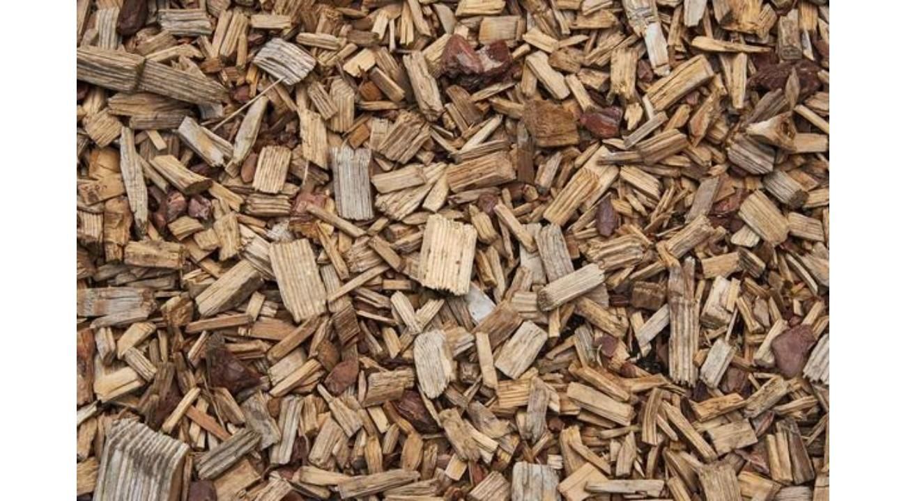 Nuevas Luces: Tendencias que inspiran a crear