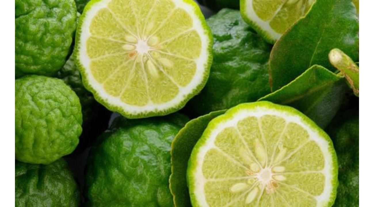 Nuevas Luces: Tendencias que inspiran a crear