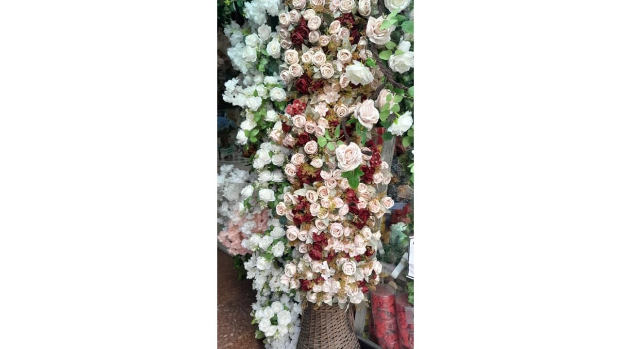 Rebrotar Ikigai: Diseño verde