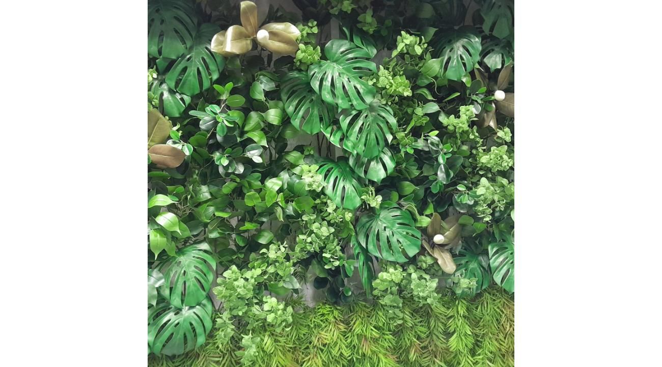 Rebrotar Ikigai: Diseño verde