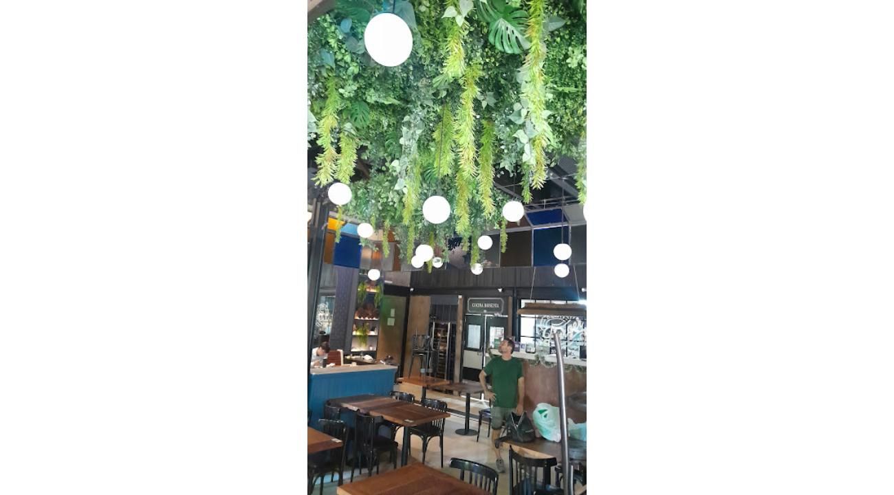 Rebrotar Ikigai: Diseño verde