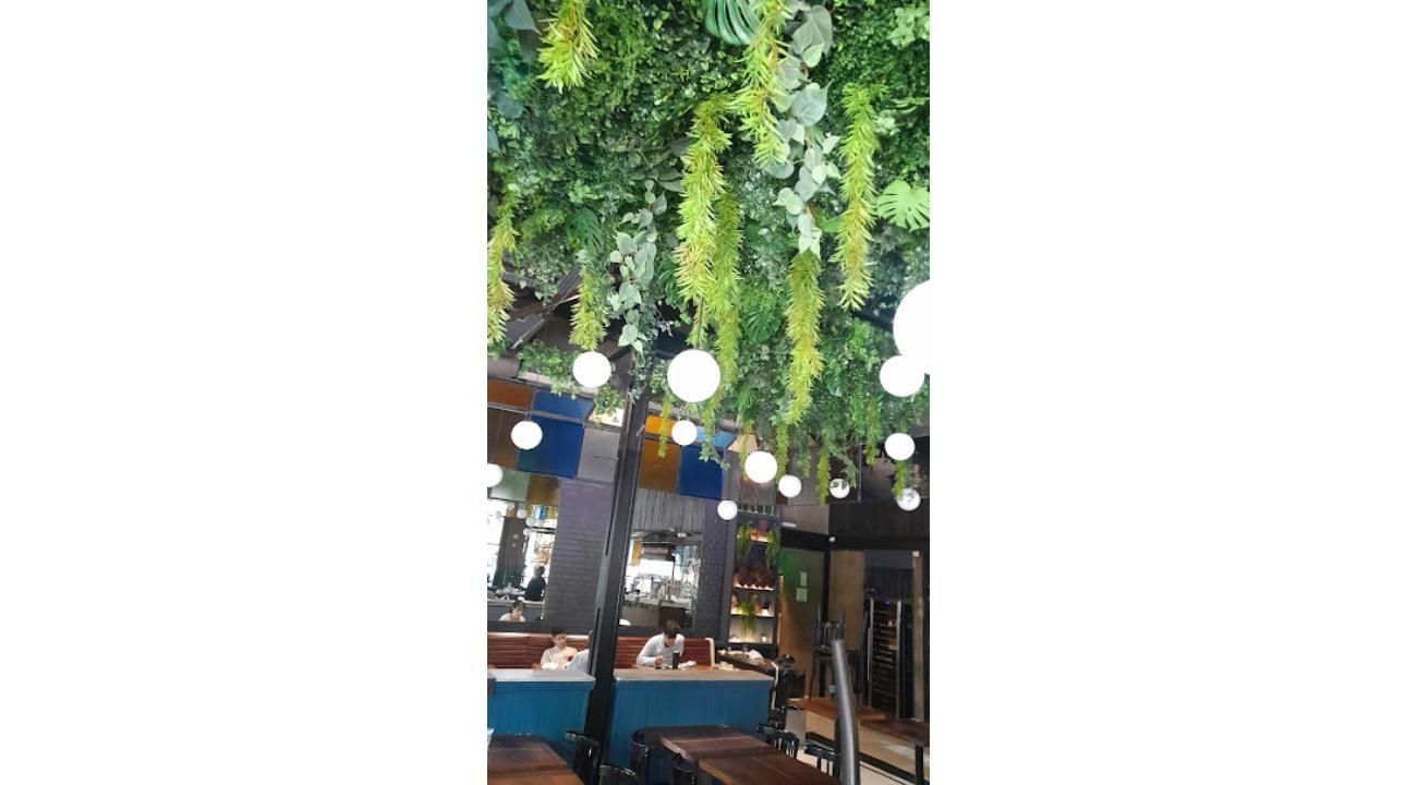 Rebrotar Ikigai: Diseño verde