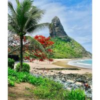 Concierge personalizado: descubrí lo imperdible en cada destino