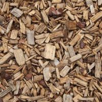 Nuevas Luces: Tendencias que inspiran a crear