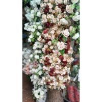 Rebrotar Ikigai: Diseño verde