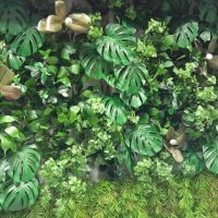 Rebrotar Ikigai: Diseño verde