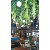 Rebrotar Ikigai: Diseño verde