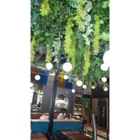 Rebrotar Ikigai: Diseño verde