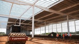 Aserradero Acon Timber