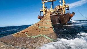 ¿Porqué prohibieron la pesca de merluza?