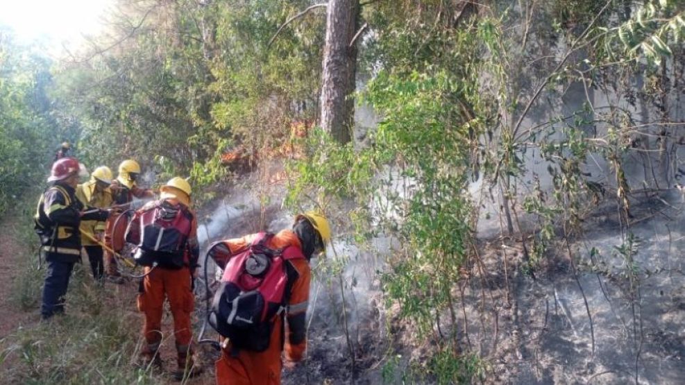 17-03-2026 Incendios forestales Misiones sequía