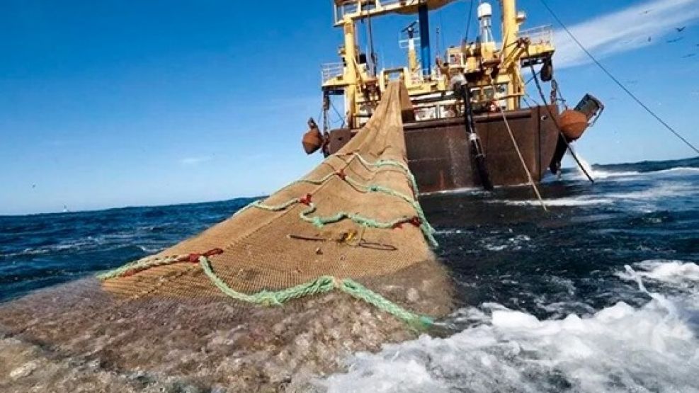 ¿Porqué prohibieron la pesca de merluza?