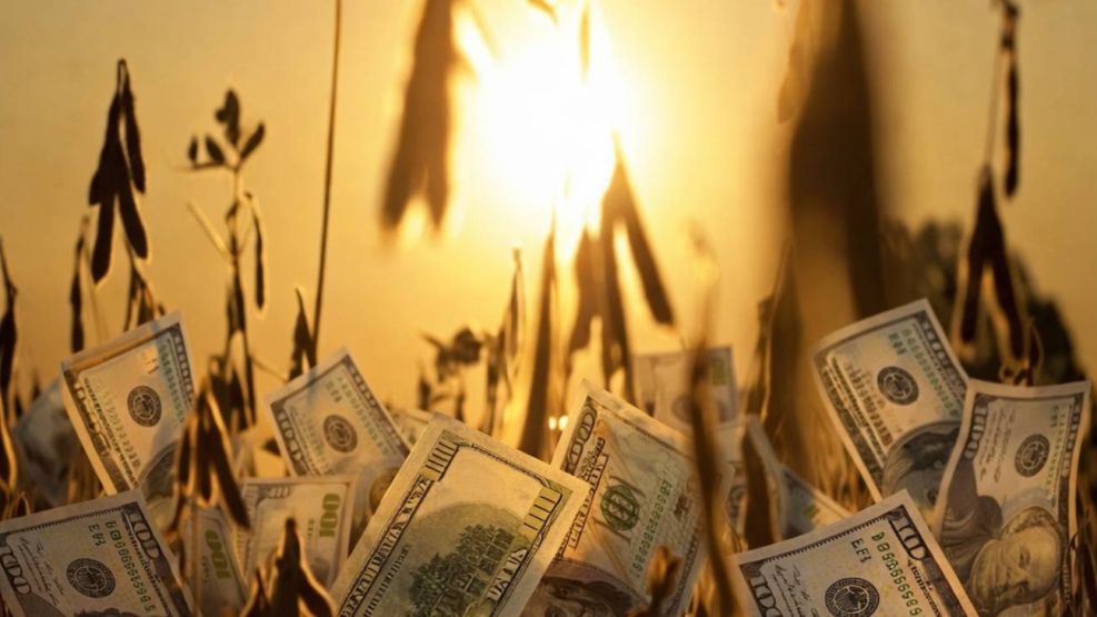 Soja y el dólar 17032026