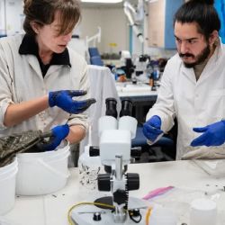 María Emilia Bravo y el estudiante de Biología Lisandro Scarrone. 