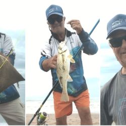 Las playas del distrito ofrecen pesqueros de gran calidad, desde sectores muy accesibles como las escolleras y el muelle de pescadores, hasta ámbitos más alejados donde reina la tranquilidad. 