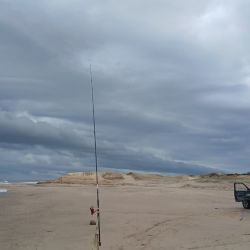 Las playas del distrito ofrecen pesqueros de gran calidad, desde sectores muy accesibles como las escolleras y el muelle de pescadores, hasta ámbitos más alejados donde reina la tranquilidad. 