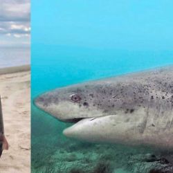 La pérdida de un ejemplar adulto de gatopardo genera un daño biológico severo. Se trata de un depredador tope, con crecimiento lento, maduración tardía y baja reproducción, características que lo vuelven extremadamente vulnerable. 