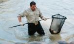 Vacían un lago en San Juan y trasladan a más de 1.000 peces en un operativo inédito