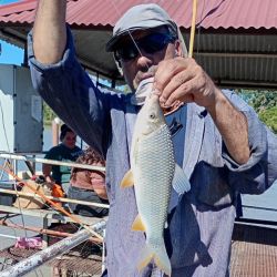 La llegada del otoño no impide buenos resultados de pesca en gran parte del país.