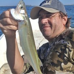 La llegada del otoño no impide buenos resultados de pesca en gran parte del país.