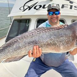 La llegada del otoño no impide buenos resultados de pesca en gran parte del país.