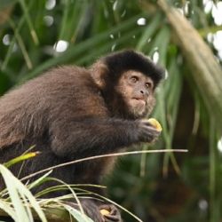 Esta investigación se destaca por el estrecho vínculo generado entre la ciencia y la agroindustria local.