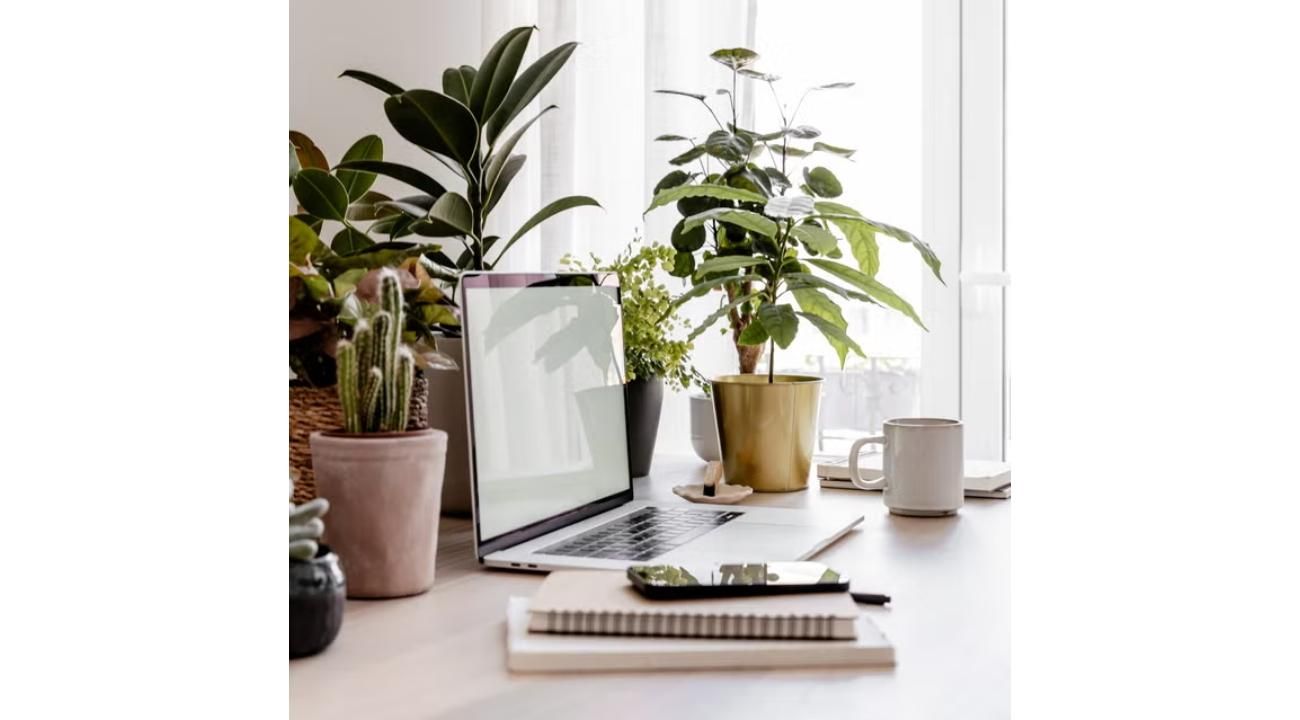 Oficinas cargadas: el factor invisible que afecta la productividad