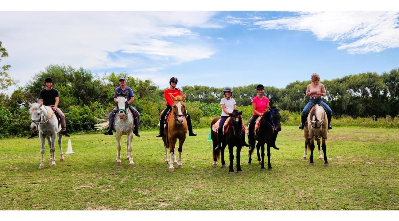 Terapias asistidas por caballos: el poder de un vínculo sanador