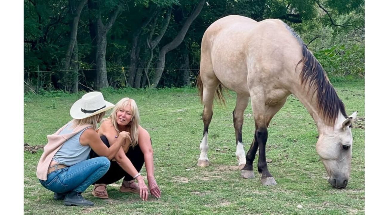 Terapias asistidas por caballos: el poder de un vínculo sanador