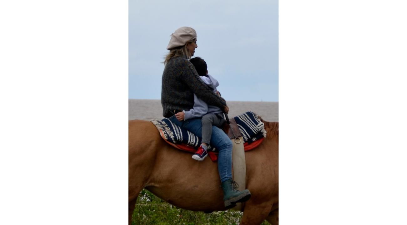 Terapias asistidas por caballos: el poder de un vínculo sanador